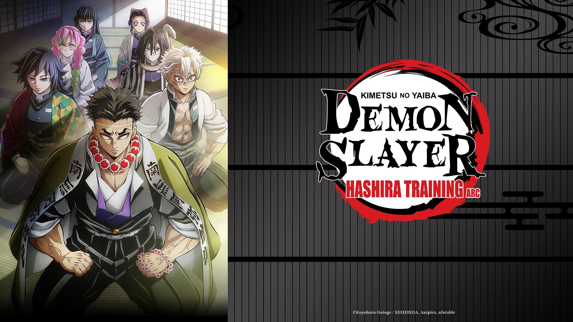 Demon Slayer: Kimetsu no Yaiba Hashira Training Arc Crunchyroll